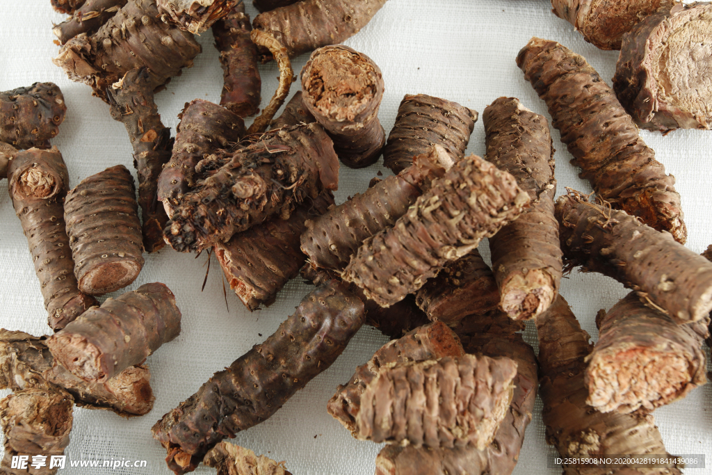 红景天中药药材图片