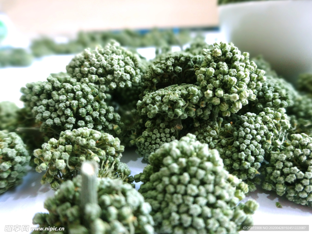 三七中药药材图片