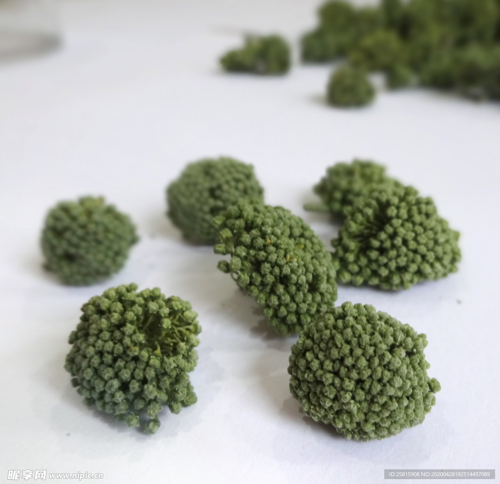 三七中药药材图片