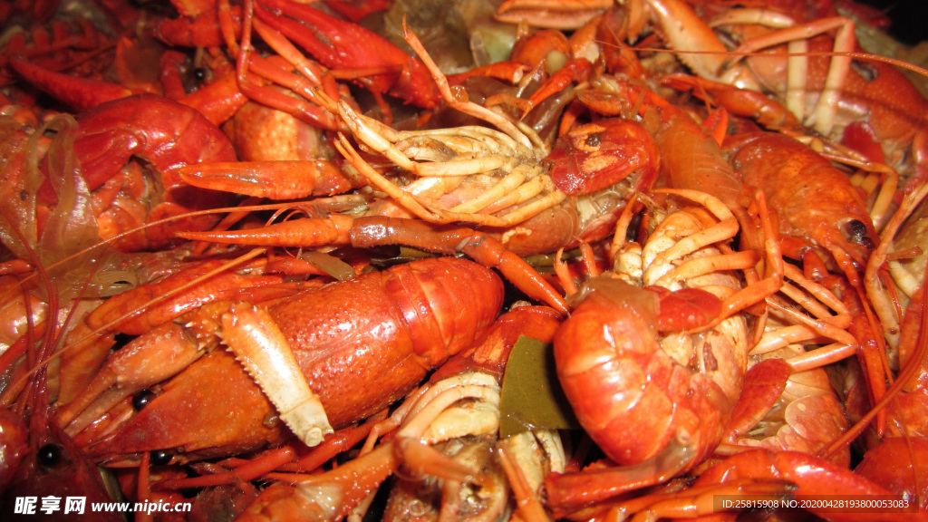 小龙虾大龙虾图片