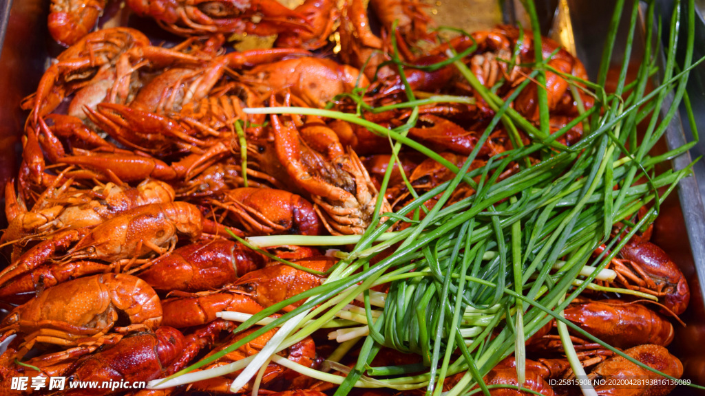 小龙虾大龙虾图片