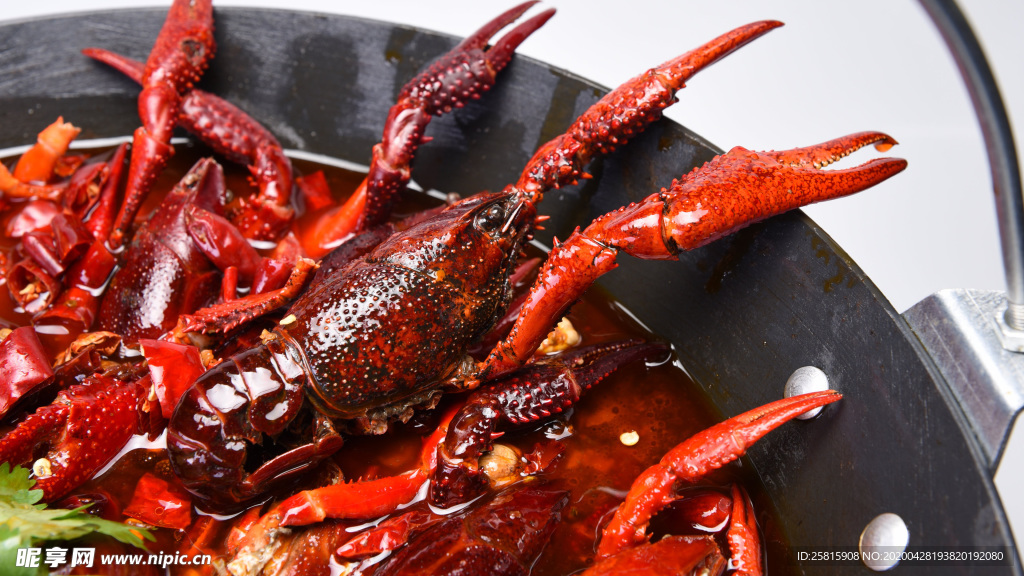 小龙虾大龙虾图片