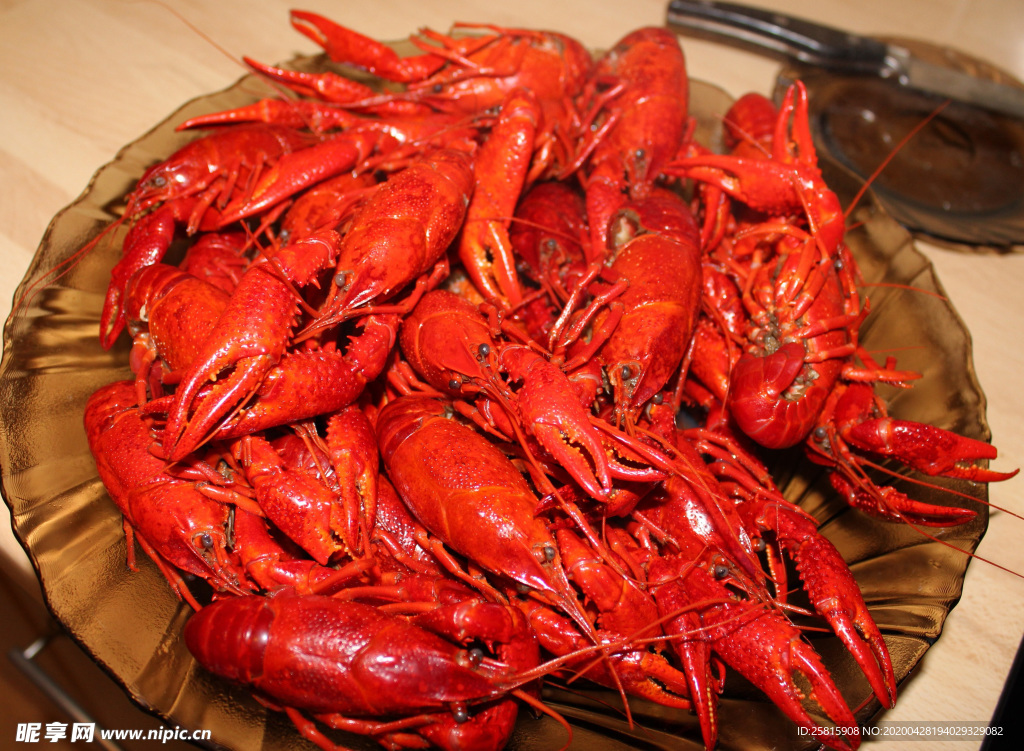 小龙虾大龙虾图片