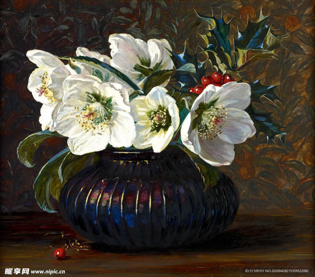 手绘插画白色花