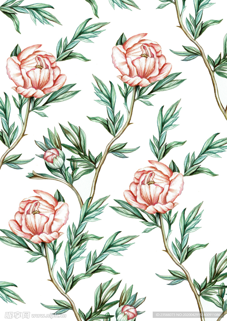 植物花朵绘画素材