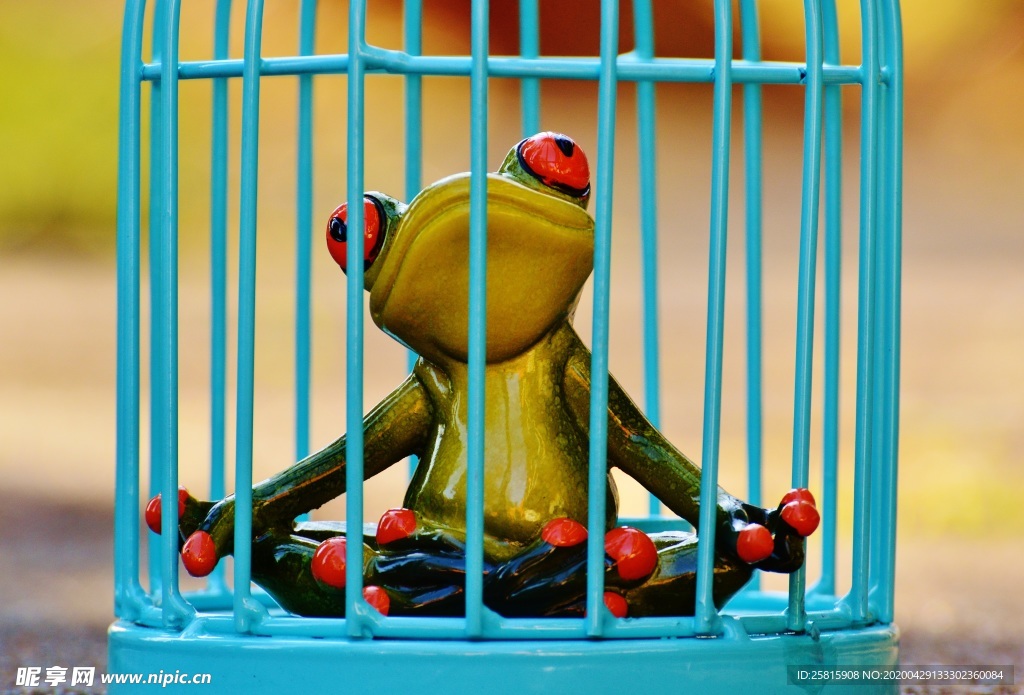 搞怪青蛙玩具图片