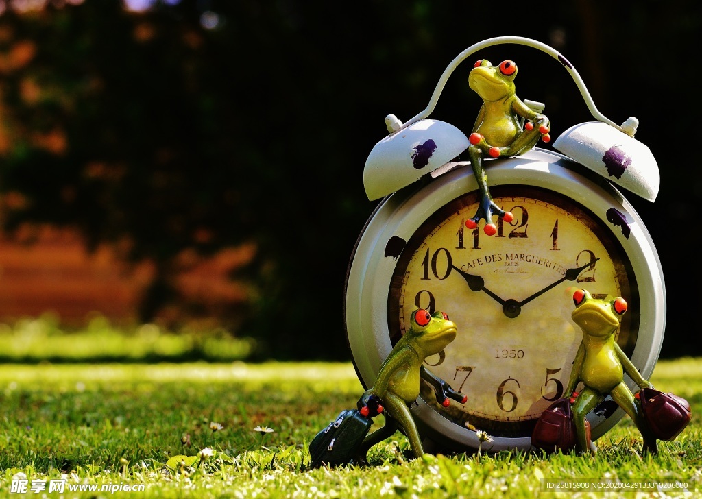 搞怪青蛙玩具图片