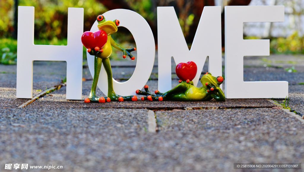 搞怪青蛙玩具图片