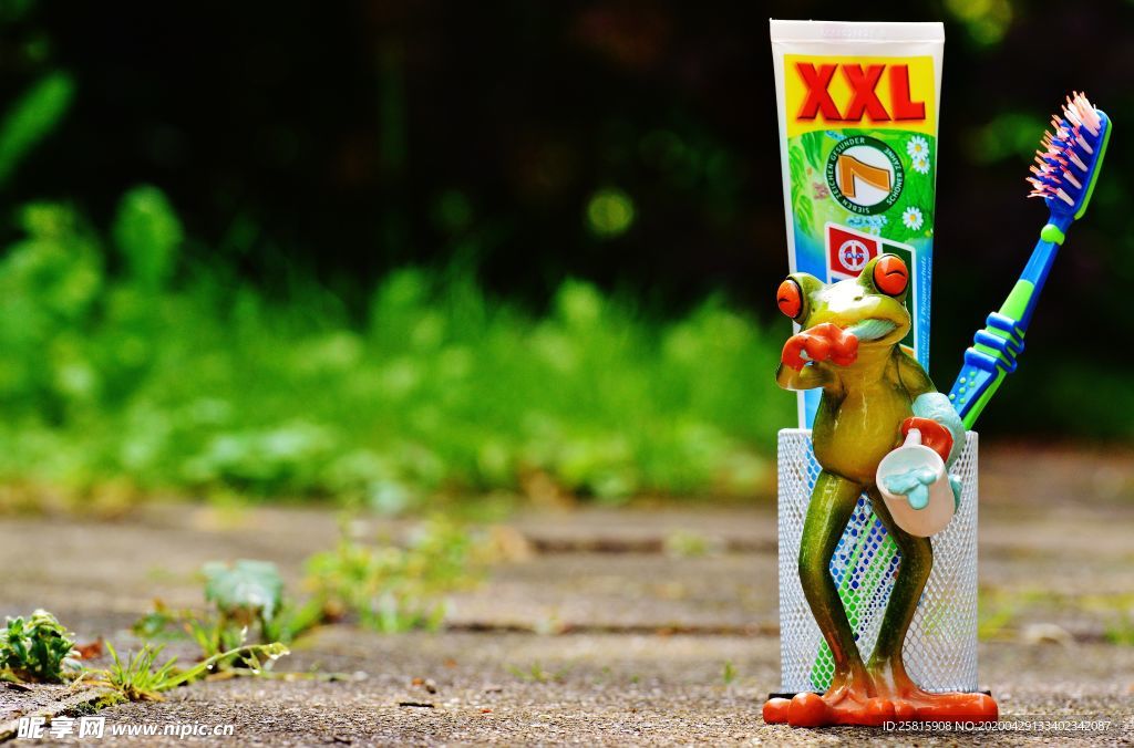 搞怪青蛙玩具图片