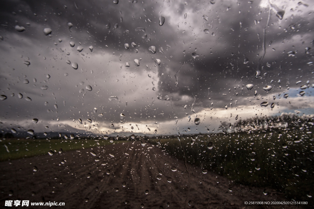 雨中美景水珠积水图片