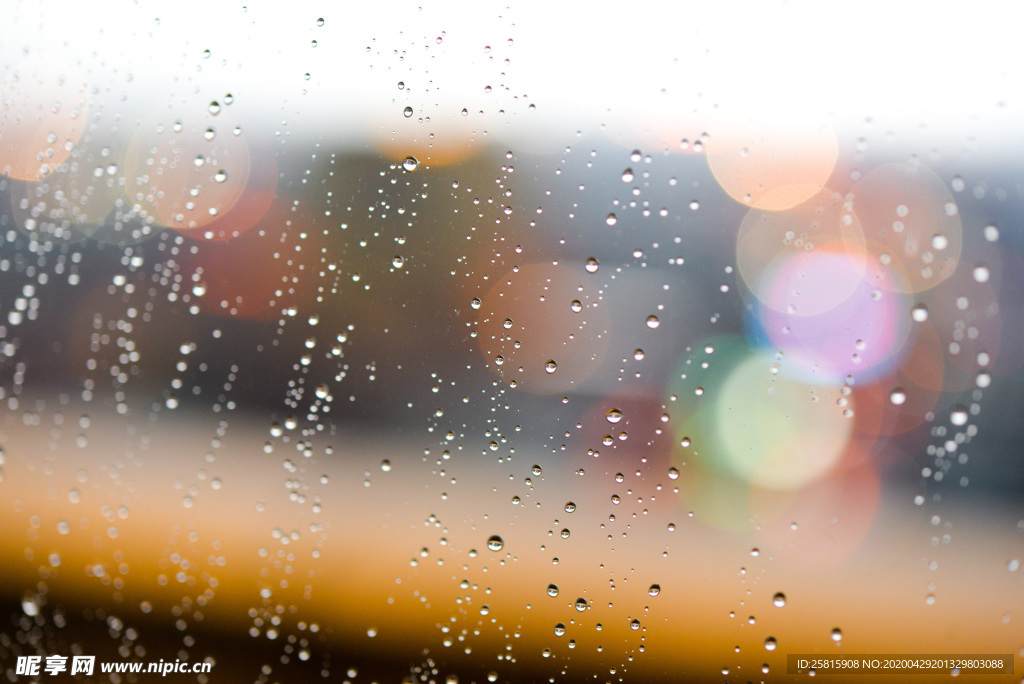 雨中美景水珠积水图片