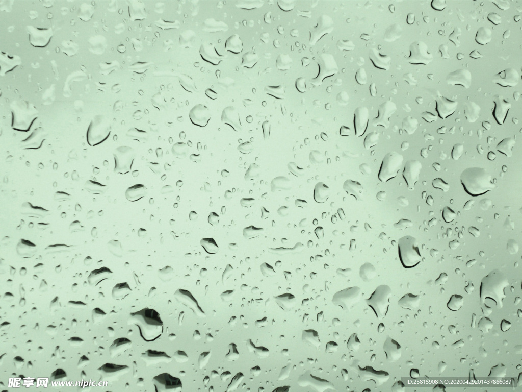 雨中美景水珠积水图片