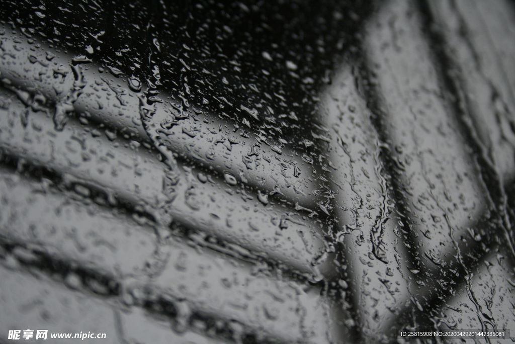 雨中美景水珠积水图片