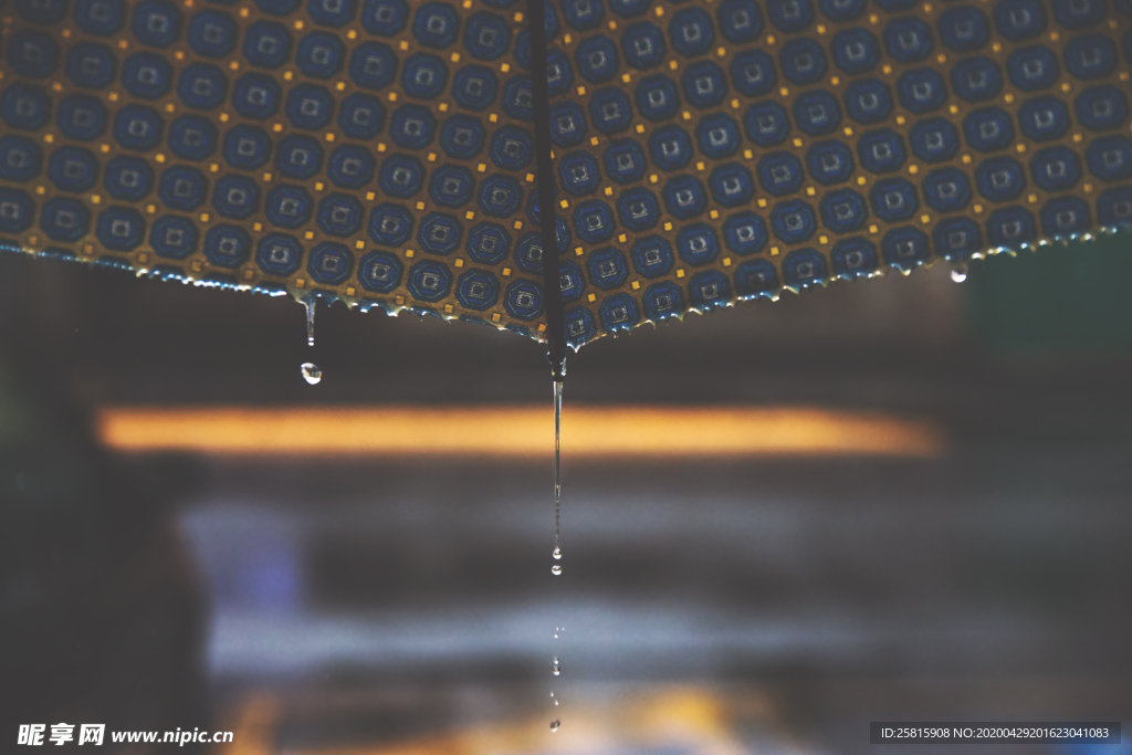 雨中美景水珠积水图片