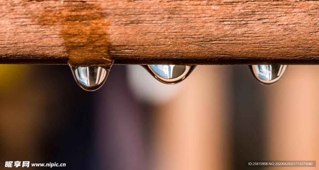 雨中美景水珠积水图片