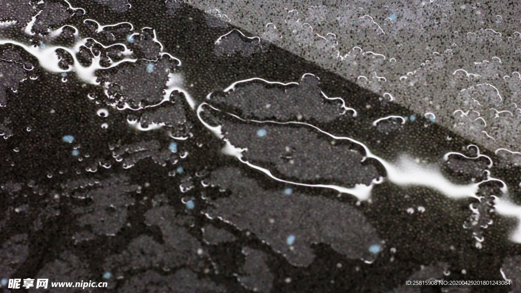 雨中美景水珠积水图片