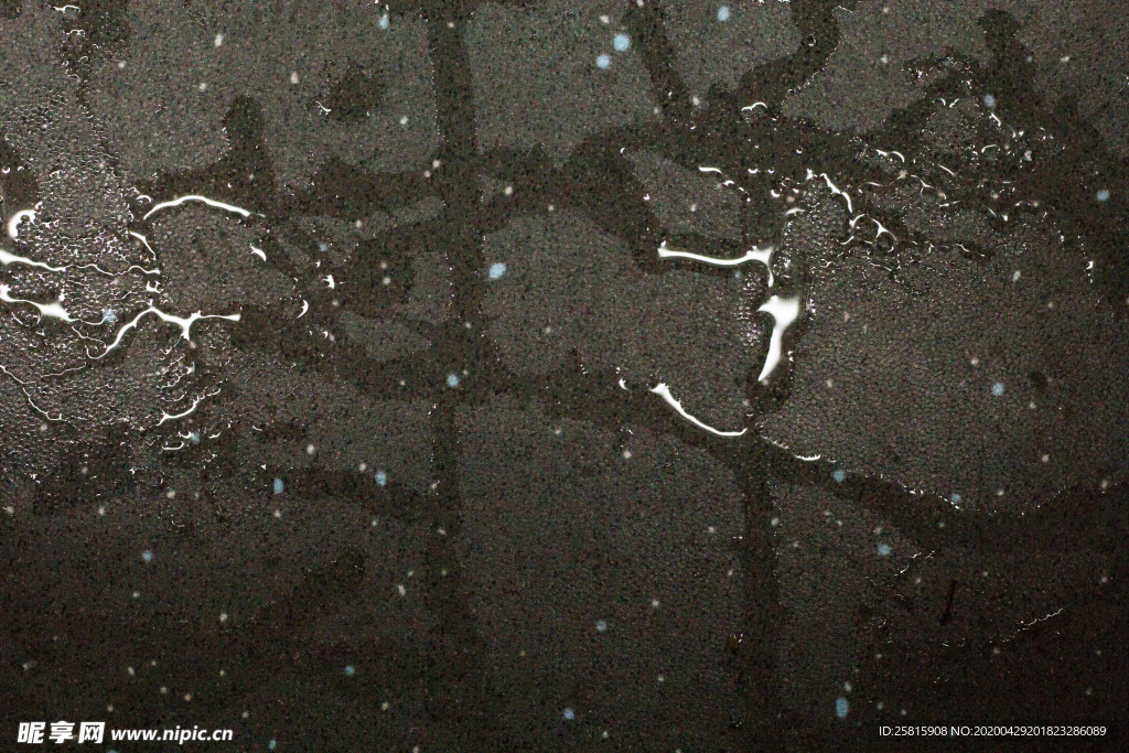 雨中美景水珠积水图片