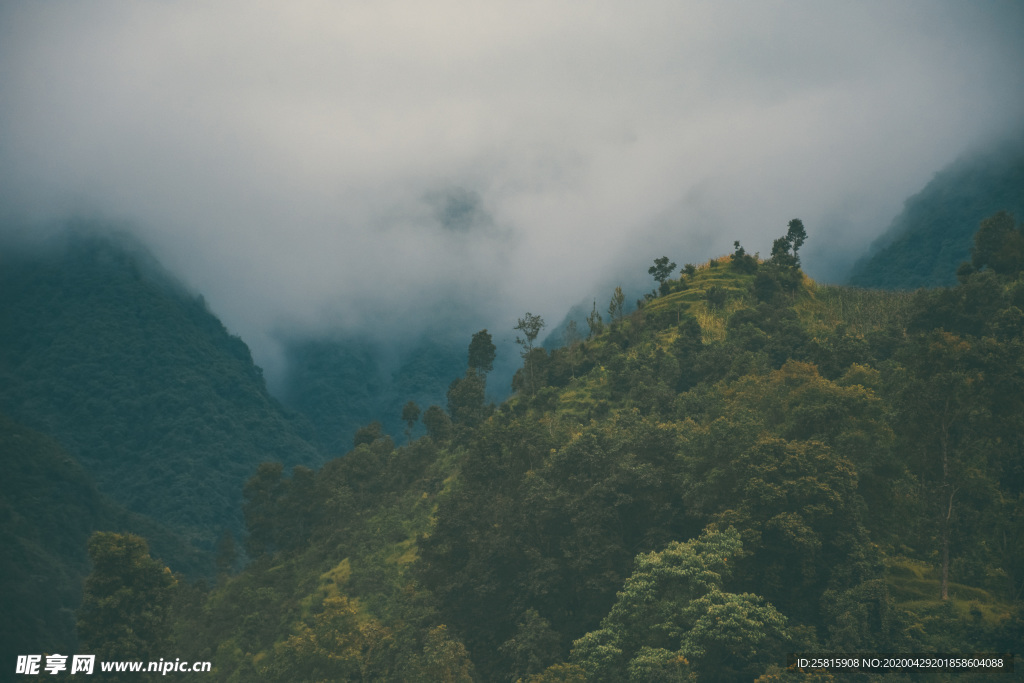 山林中的雾气图片
