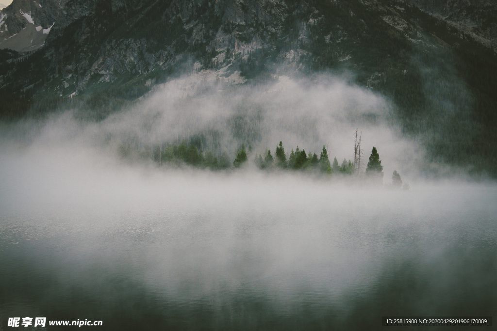 山林中的雾气图片