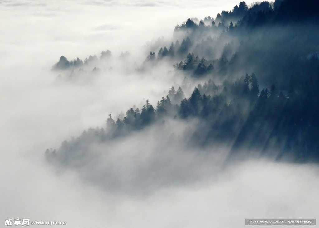 山林中的雾气图片
