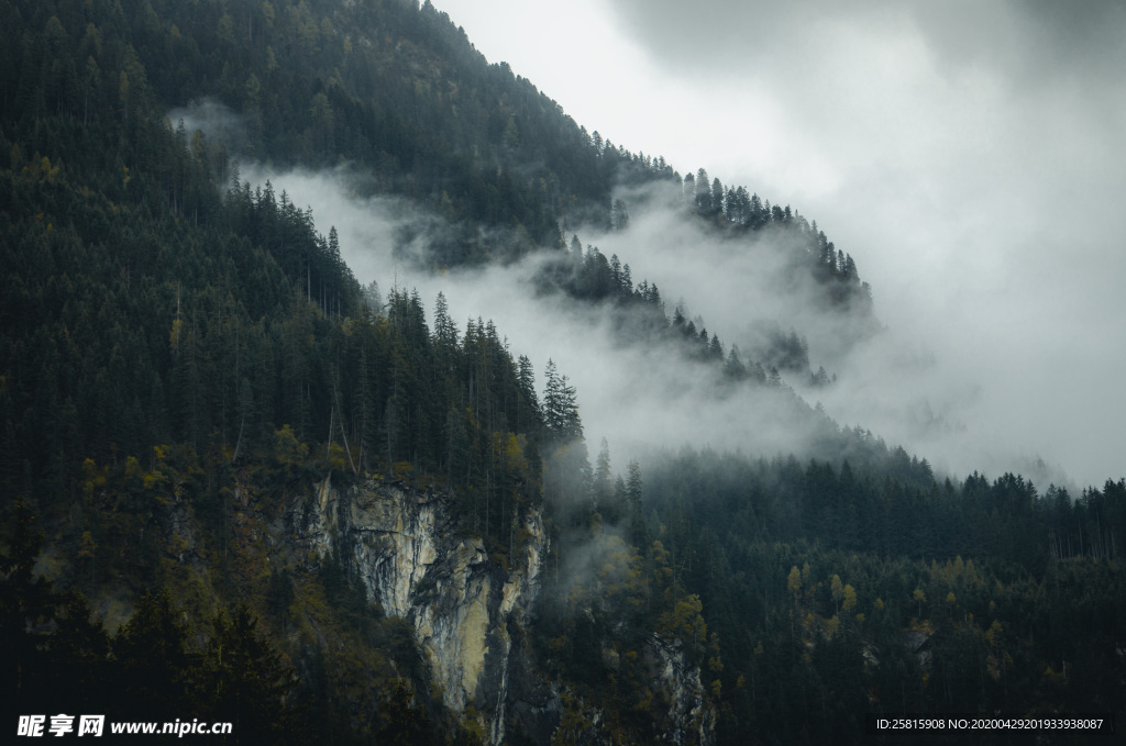 山林中的雾气图片
