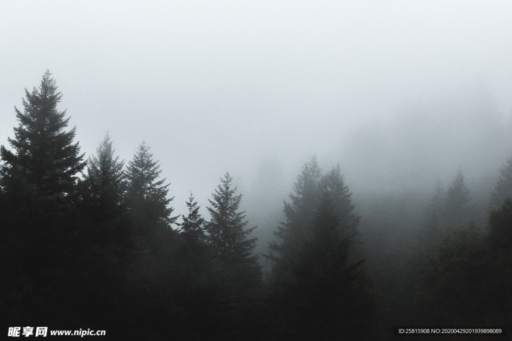 山林中的雾气图片