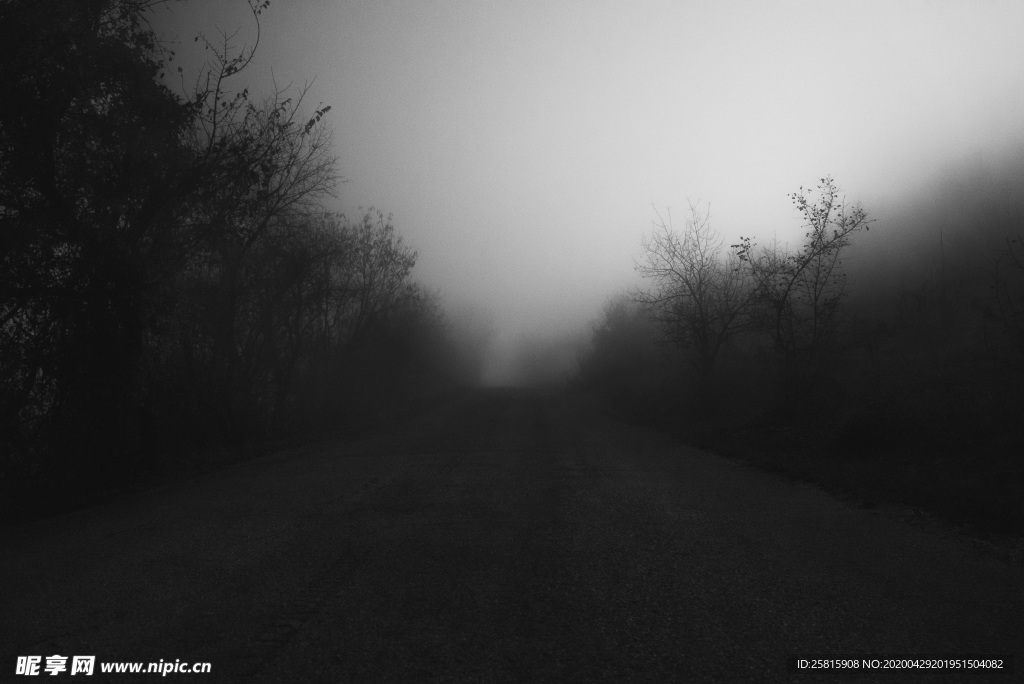 山林中的雾气图片