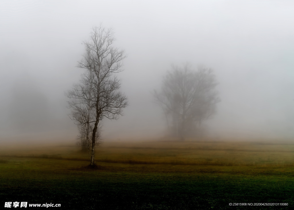 山林中的雾气图片