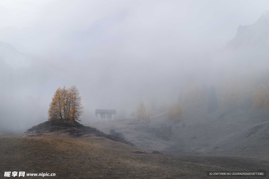 山林中的雾气图片
