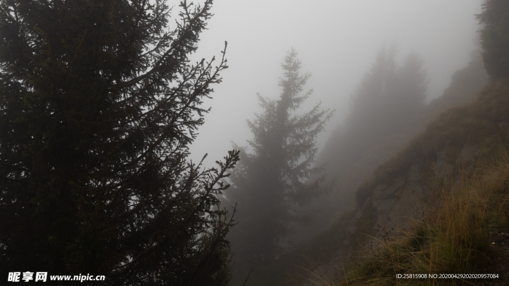 山林中的雾气图片