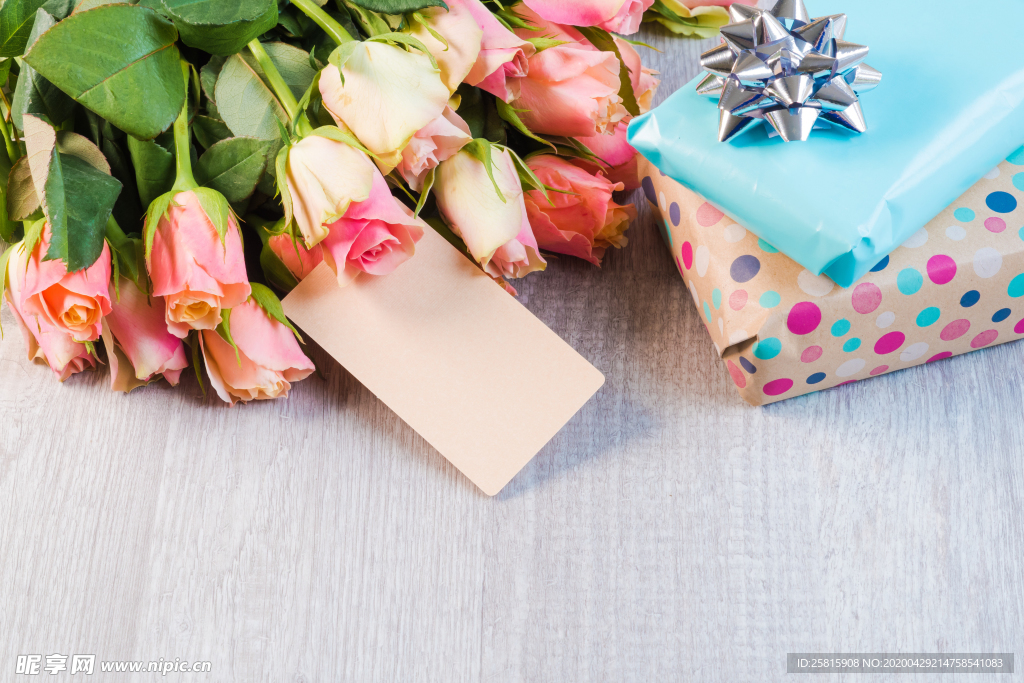 玫瑰花月季花图片