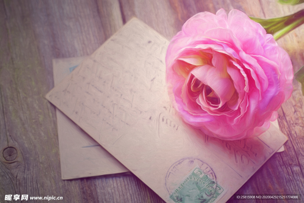 玫瑰花月季花图片