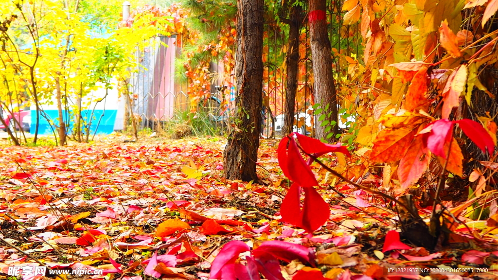 秋之韵----呼和浩特