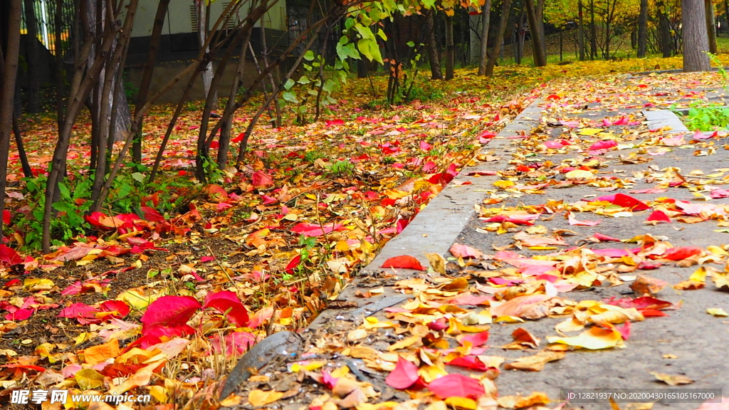 秋之韵-----呼和浩特