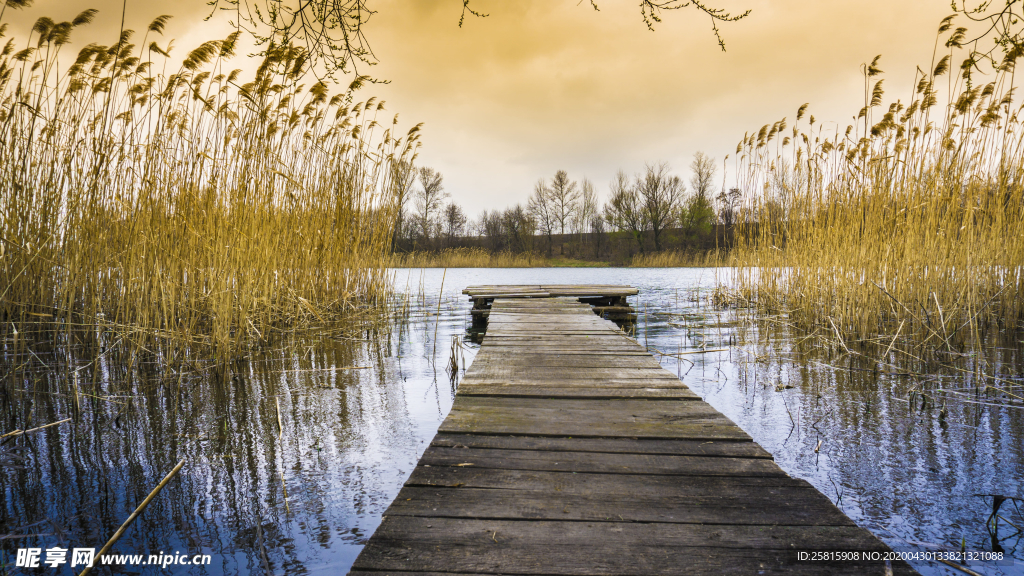 水边木质栈桥风景图片