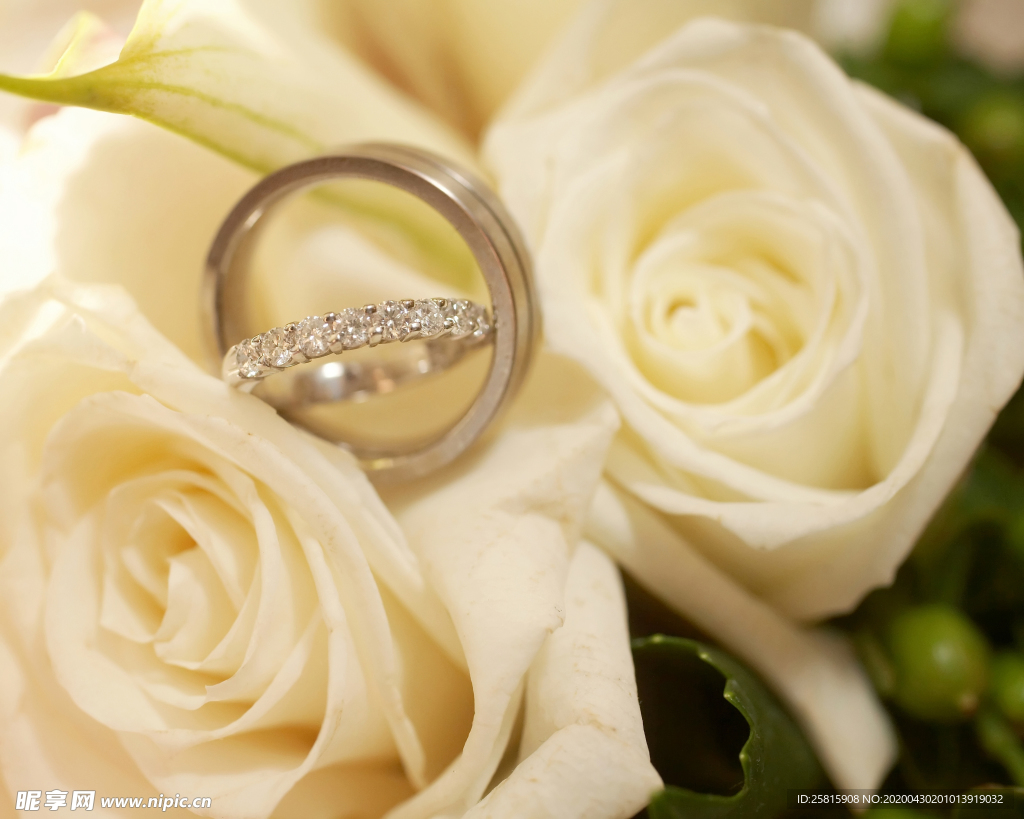 戒指浪漫图片
