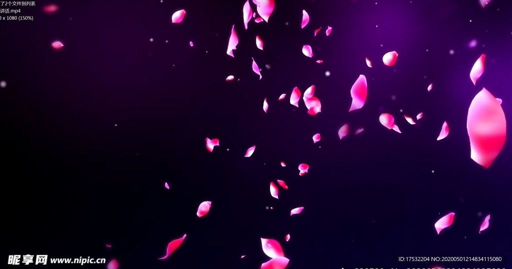 花瓣掉落高清视频