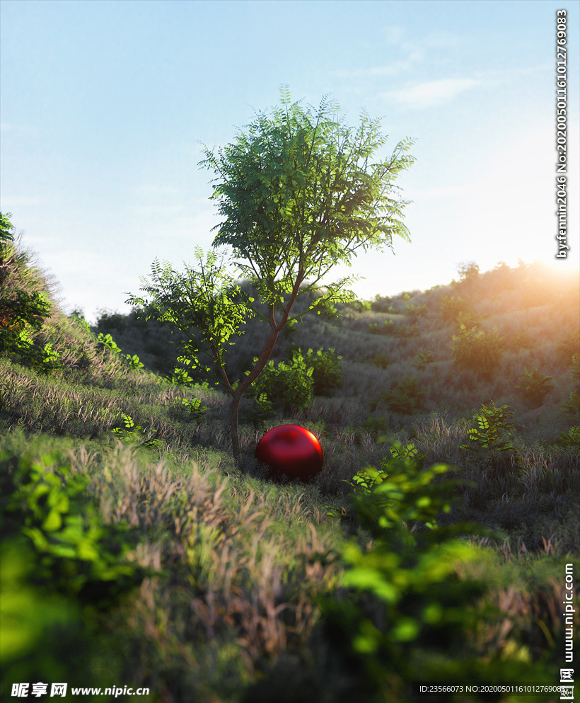 树木草地C4D特效设计图案