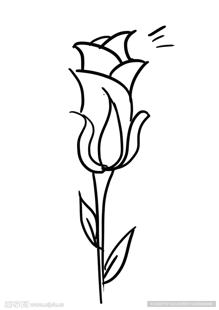 花花