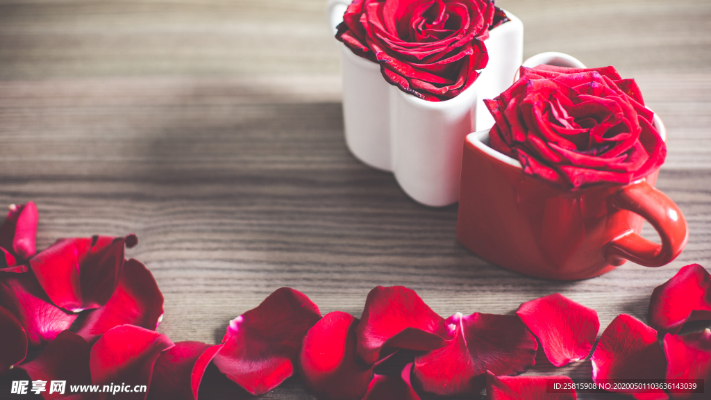 红玫瑰花月季花图片