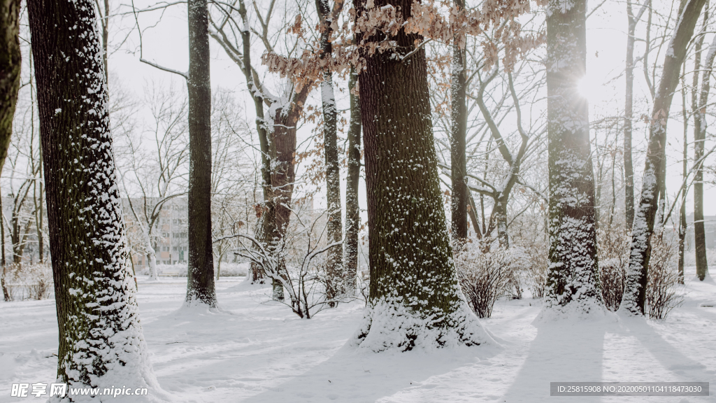 雪景公园雪景唯美图片