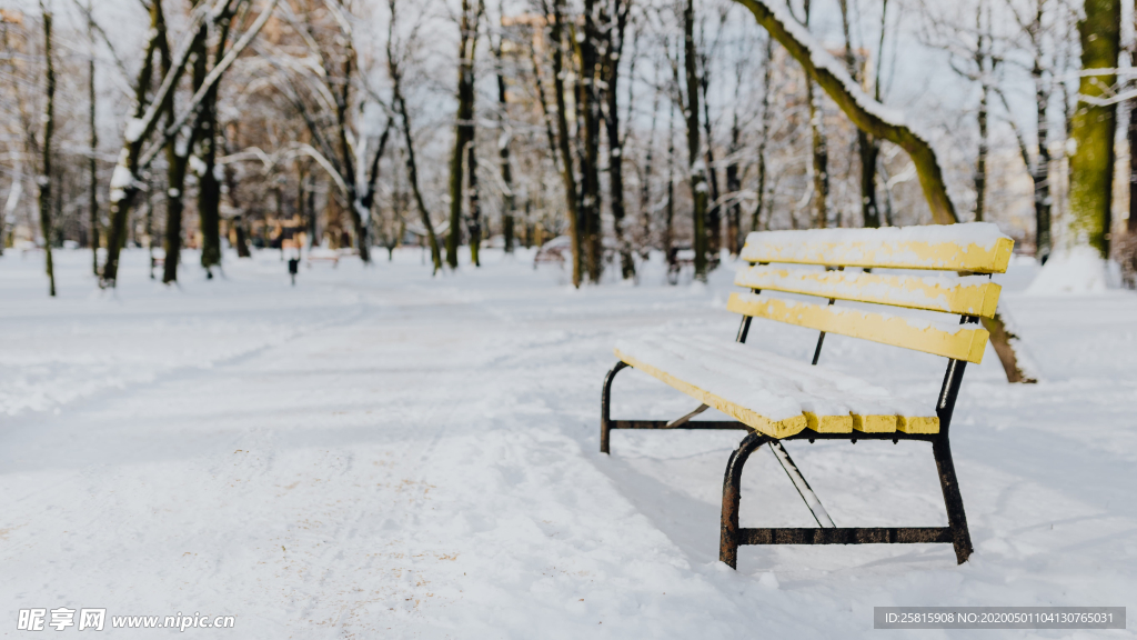 雪景公园雪景唯美图片