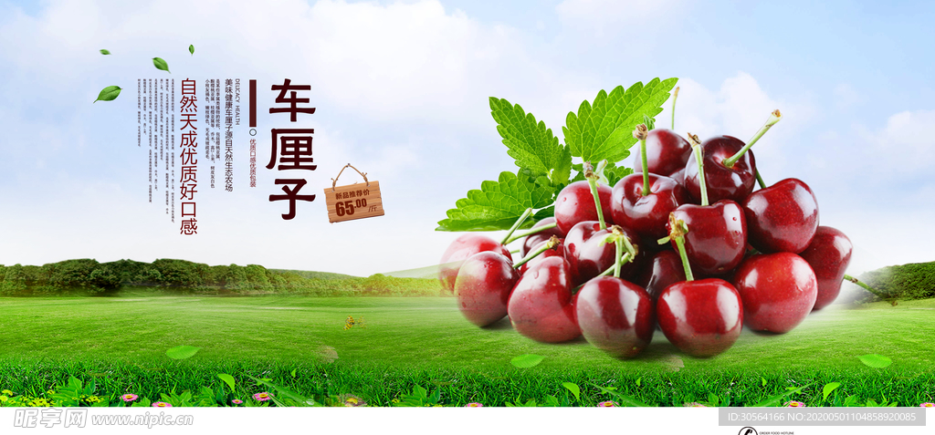 车厘子展板海报