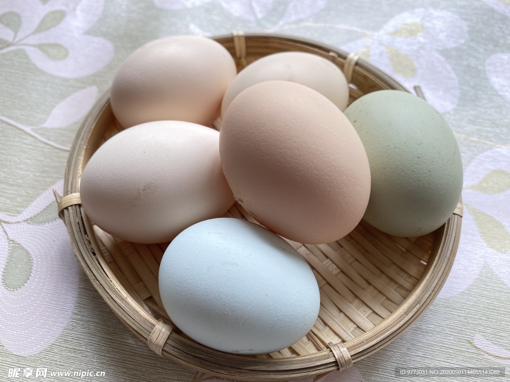 鸡蛋