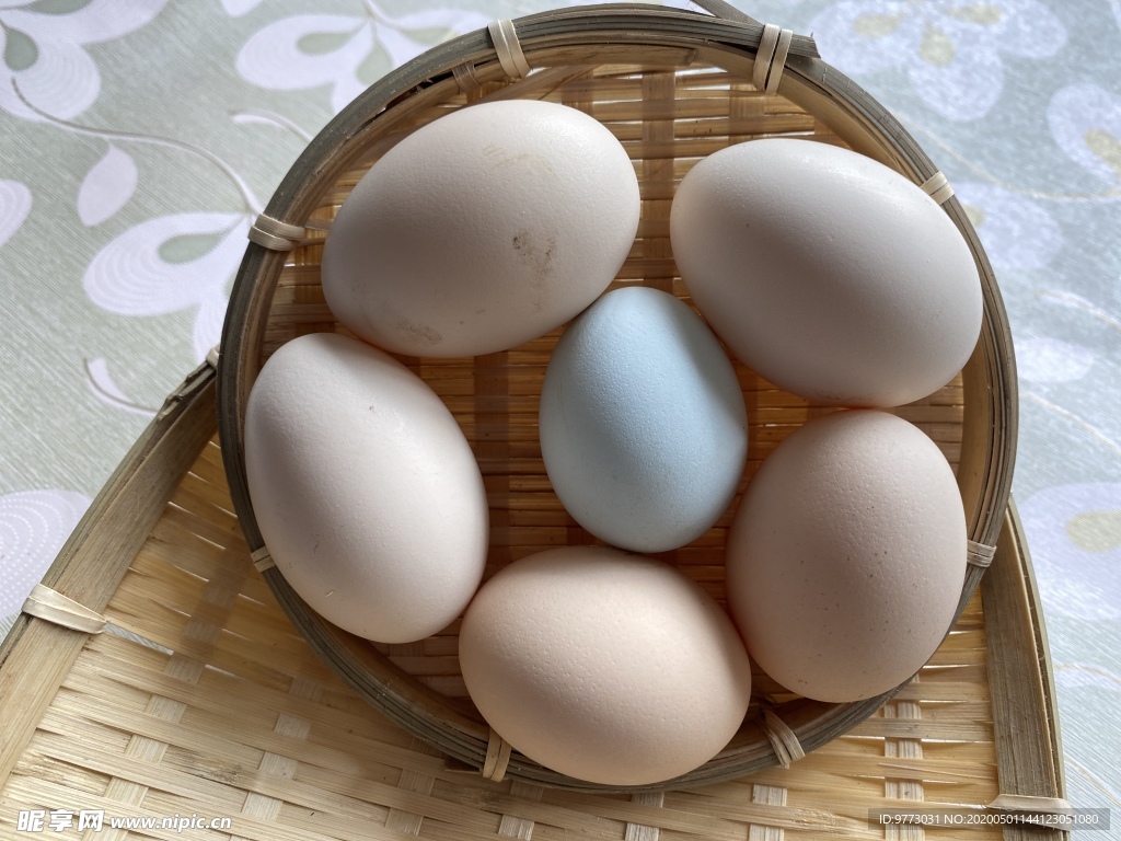 鸡蛋