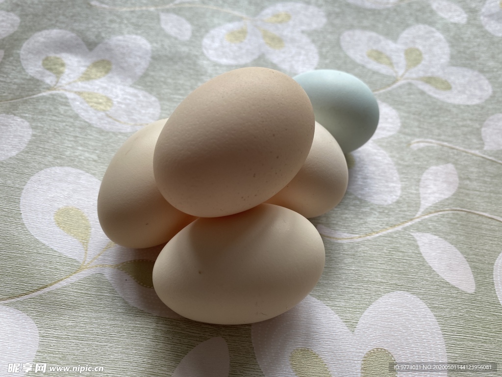 鸡蛋