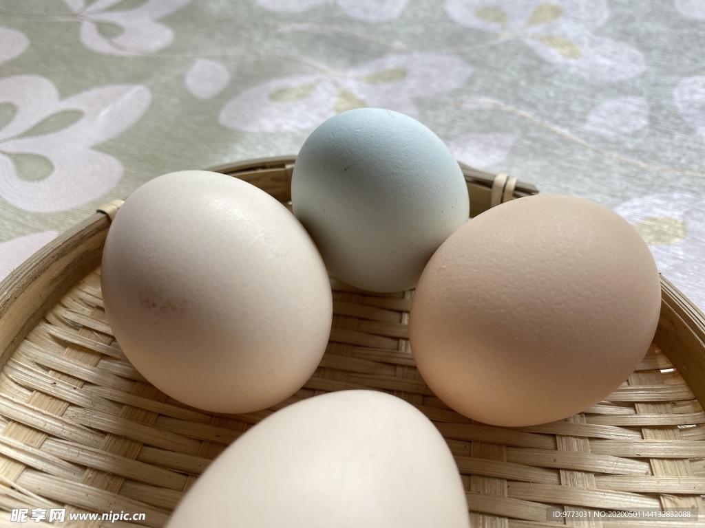 鸡蛋