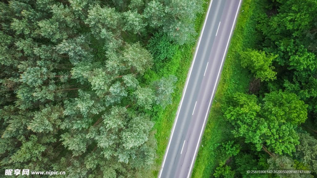 绿色环绕的公路大道图片