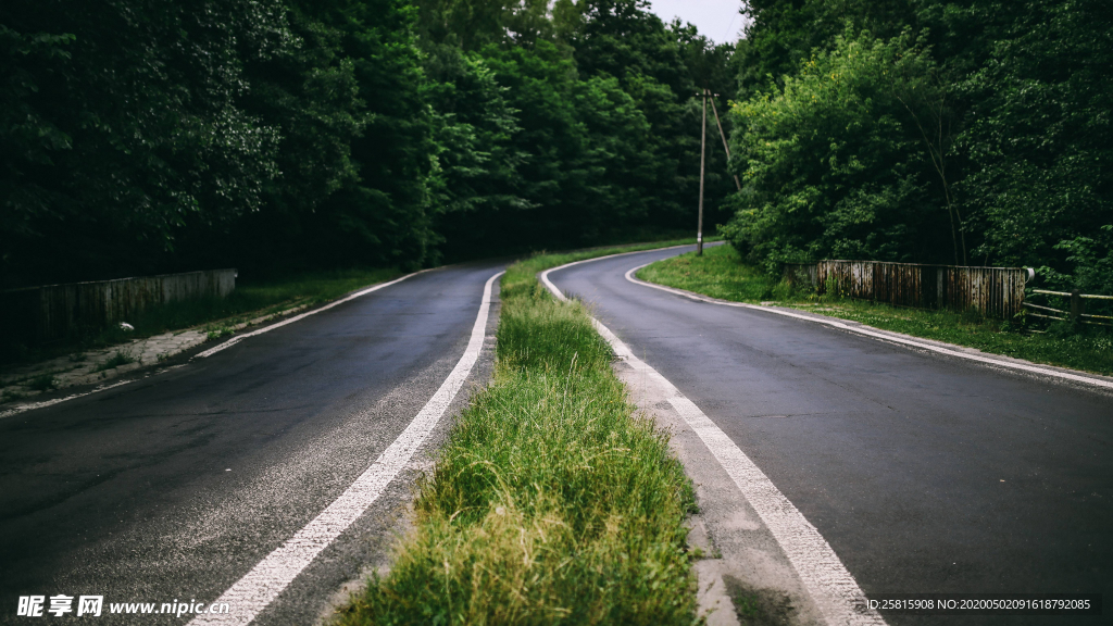 绿色环绕的公路大道图片