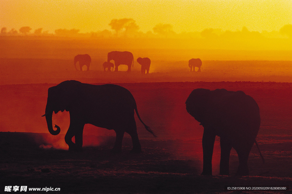 人物剪影 情侣剪影 精英剪影